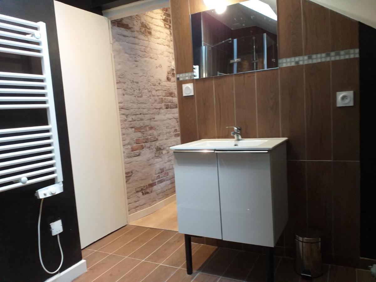 Les Volets Bleus - Deux Appartements Et Un Studio, Jardin Бурж Екстериор снимка