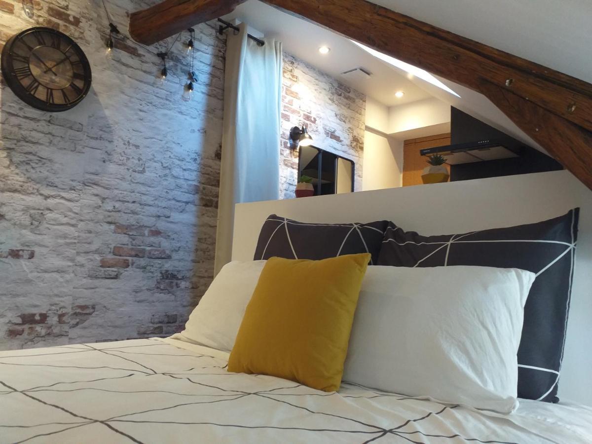 Les Volets Bleus - Deux Appartements Et Un Studio, Jardin Бурж Екстериор снимка