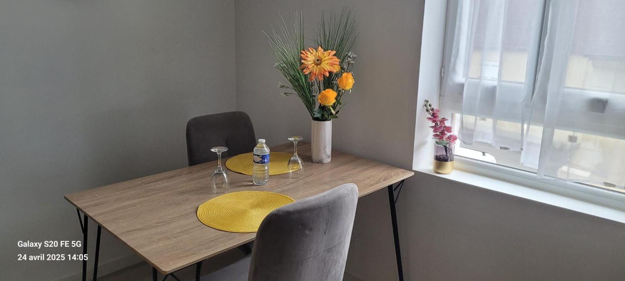 Les Volets Bleus - Deux Appartements Et Un Studio, Jardin Бурж Екстериор снимка